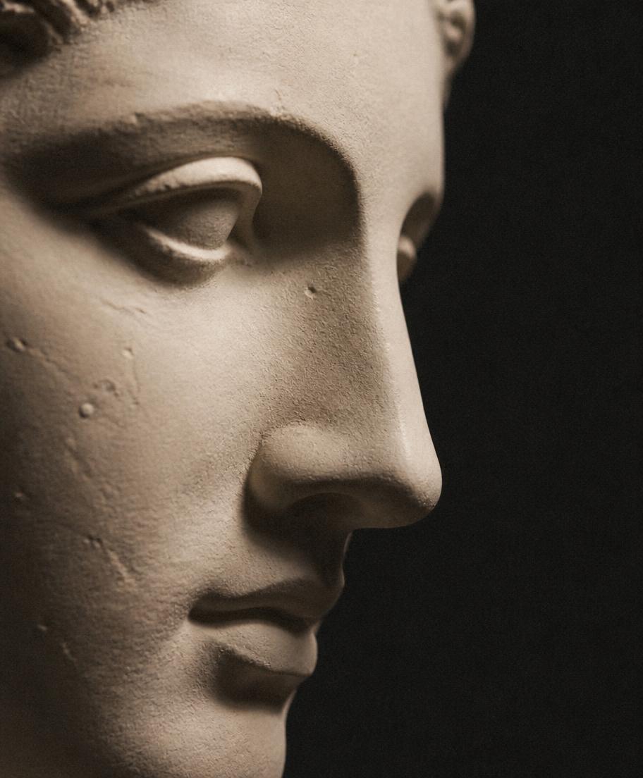 Classical plaster facial profile representing facial surgery at VSculpt
